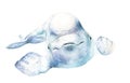 Watercolor picture. beluga. Delphinapterus leucas Royalty Free Stock Photo