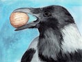 Watercolor picture of a black raven with a nut in its beak