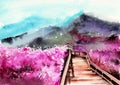 Watercolor picture of blooming sakura trees