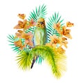 Watercolor picture of budgie on white background Royalty Free Stock Photo