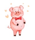 Watercolor picture cheerful pink piggy