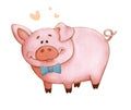 Watercolor picture cheerful pink piggy