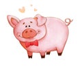 Watercolor picture cheerful pink piggy