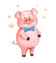 Watercolor picture cheerful pink piggy