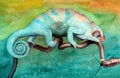 Watercolor picture of a colorful funny chameleon