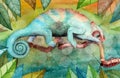 Watercolor picture of a colorful funny chameleon