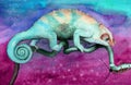 Watercolor picture of a colorful funny chameleon on a branch