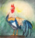 Watercolor picture of a colorful rooster with long emerald tail