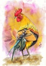 Watercolor picture of a colorful rooster with vivid feathers and red cockscomb