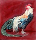 Watercolor picture of a colorful rooster
