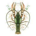 Watercolor picture of crustacean, cancer, lobster, zodiac sign, river cancer, detailed illustration, macro, spray, green, print on