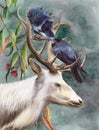 Watercolor picture of a deer with two ravens Royalty Free Stock Photo