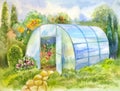 Watercolor picture with greenhouse in the garden