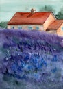 Watercolor picture of purple lavender field with a big house