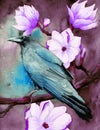 Watercolor picture of a raven on the magnolia branches Royalty Free Stock Photo