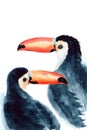 Watercolor toucans with colorful beaks