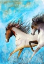 Watercolor picture of two graceful running horses Royalty Free Stock Photo