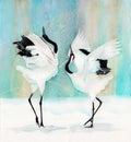 Two red-crowned japanese cranes Royalty Free Stock Photo