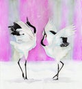 Watercolor picture of a two red-crowned japanese cranes