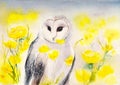 Watercolor snowy owl Royalty Free Stock Photo