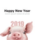 2019 Watercolor Pig year card Vector. Funny pig nose. Snowy blurry background. Happy New Year holiday event invitations