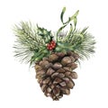 Watercolor pine cone with Christmas decor. Hand painted pine cone with christmas tree branch, holly and mistletoe