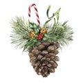 Watercolor pine cone with holiday decor. Hand painted pine cone with christmas tree branch, bells, candy, holly and Royalty Free Stock Photo