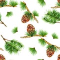 Watercolor pine set on white background