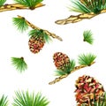 Watercolor pine set on white background