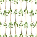 Watercolor pine tree seamless pattern. Hand drawn tall green conifer plants isolated on white. Summer forest background Royalty Free Stock Photo