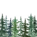 Watercolor pine trees background. Banner with hand painted spruce forest, isolated. Winter wonderland illustration for Christmas Royalty Free Stock Photo