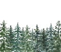 Watercolor pine trees landscape illustration. Winter snowy forest. hand drawn graphic