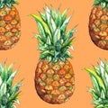 Watercolor pineapple exotic tropical fruit seamless pattern texture background Royalty Free Stock Photo