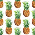 Watercolor pineapple exotic tropical fruit seamless pattern texture background Royalty Free Stock Photo