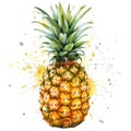 watercolor of a pineapple is exuberantly highlighted with lively splashes Royalty Free Stock Photo