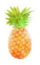 Watercolor pineapple fruit on white