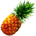 Watercolor pineapple isolated