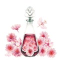 Watercolor pink blossoming cherries with glass bottles, perfume, for wedding, birthday, Valentine's day decoration