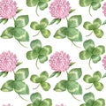 Watercolor pink clover flowers and leaves. Seamles floral pattern. Meadow herbs seamless pattern isolated on the white background Royalty Free Stock Photo