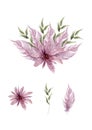 Watercolor pink feather, flower wreath on white background