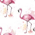 Watercolor pink flamingo seamless pattern in watercolor splashes.