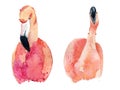 watercolor pink flamingos Royalty Free Stock Photo