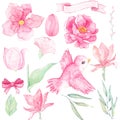 Watercolor pink floral  with bird elements drawing Royalty Free Stock Photo