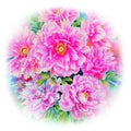 Watercolor pink flower painting original realistic colorful of paeonia