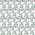 Watercolor pink flowers on intertwining branches. Floral ornamentation. Seamless pattern on white background Royalty Free Stock Photo