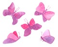 Watercolor pink flying butterflies set. Hand drawn colorful violet fairy moths isolated on white background. Colorful illustration Royalty Free Stock Photo