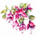Watercolor Pink Fuchsia Flower: Catherine Nolin Inspired Nature-inspired Installations