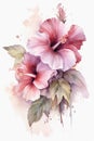 Watercolor pink hibiscus flower bouquet on white background. Generative AI Royalty Free Stock Photo