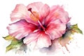 Watercolor pink hibiscus flower isolated on white background. Generative AI Royalty Free Stock Photo