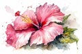 Watercolor pink hibiscus flower isolated on white background. Generative AI Royalty Free Stock Photo